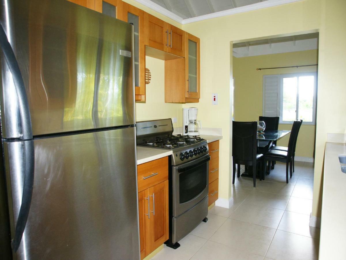 Jamnick Vacation Rentals - Richmond, St Ann, Jamaica Ocho Ríos Extérieur photo